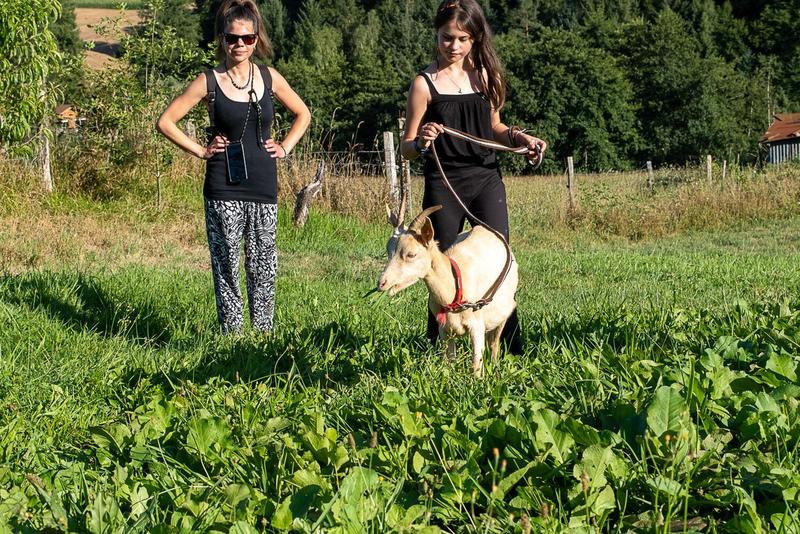 Visite active et pédagogique de la ferme Equi'libre