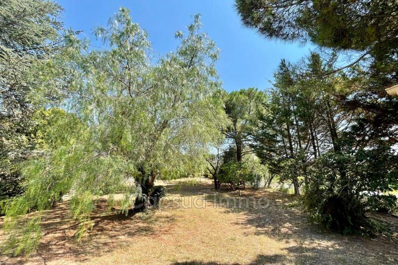 Villa - 295 m² - 8 pièces