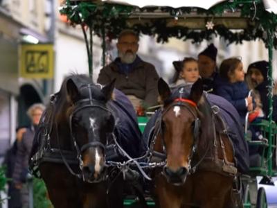 Les balades en calèche