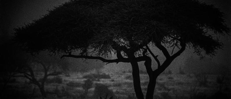 Exposition Chaumont-Photo-sur-Loire