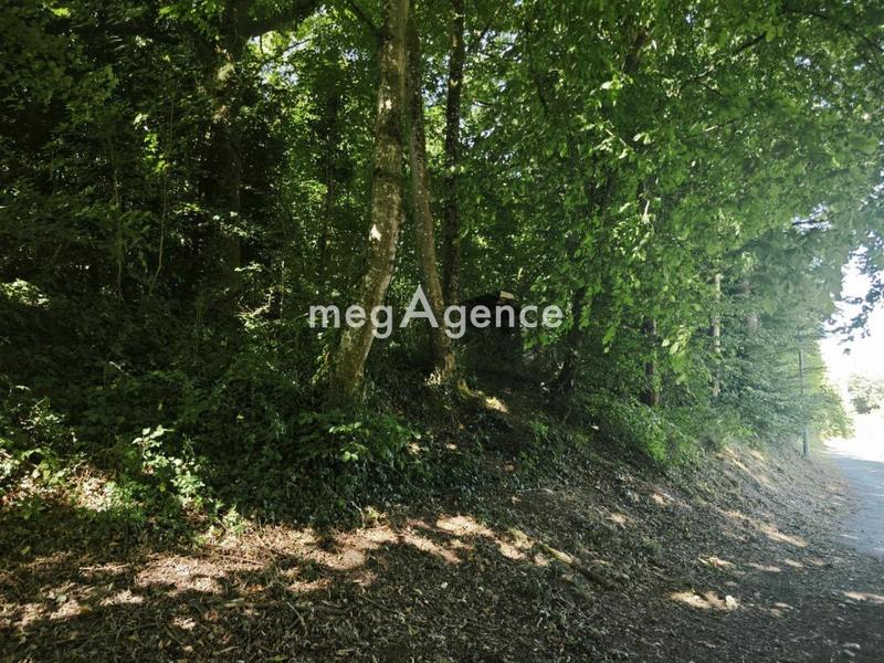 Terrain de loisirs - 3 260 m²