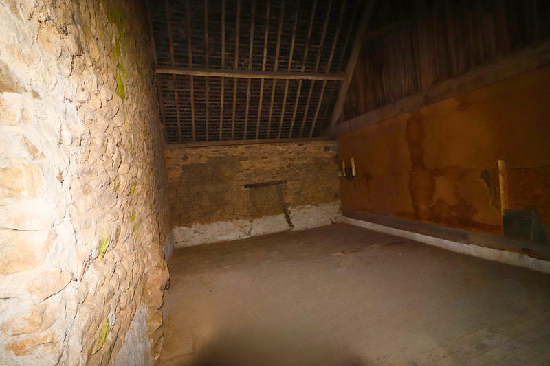 Maison ancienne - 290 m² - 8 pièces