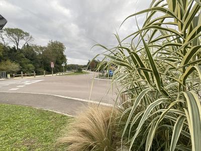 Appartement - 17 m² - 1 pièce