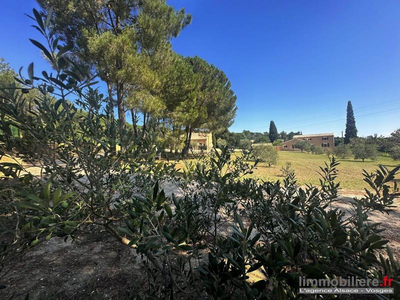 Mas - 300 m² - 9 pièces