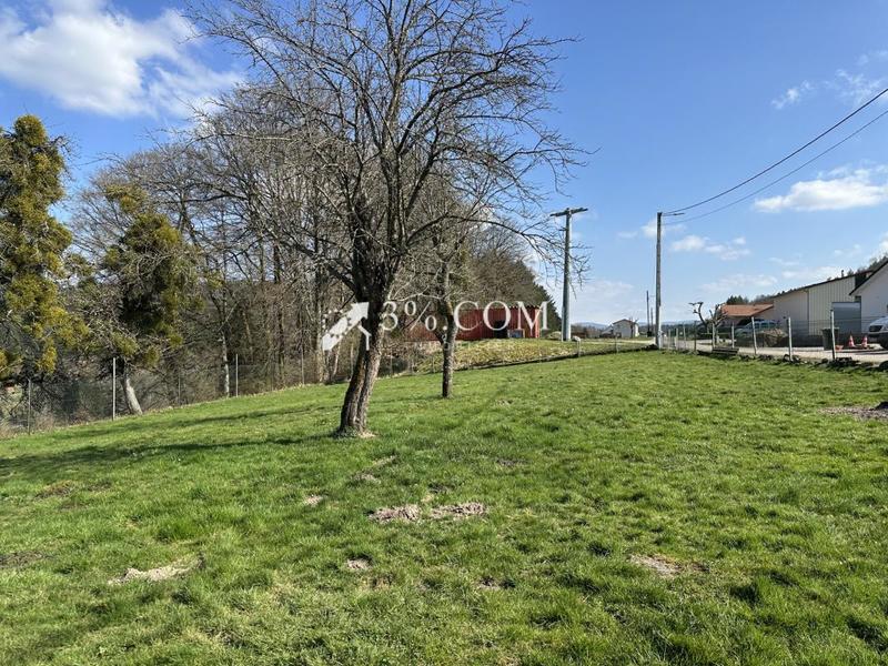 Ferme - 106 m² - 4 pièces