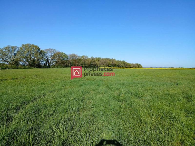 Maison - 190 m² - 5 pièces