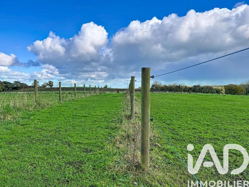 Maison - 145 m² - 7 pièces