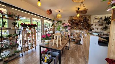 Magasins - 35 m² - 1 pièce