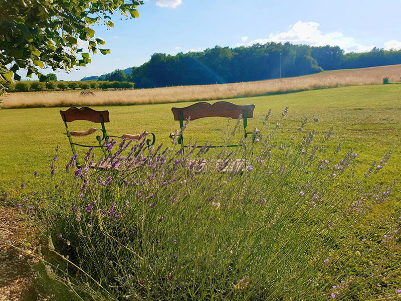 Maison - 316 m² - 10 pièces