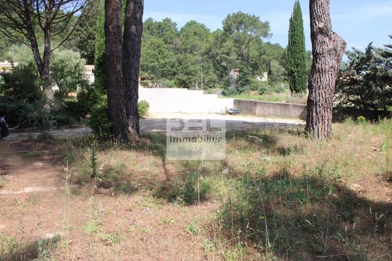 Terrain constructible - 1 203 m²