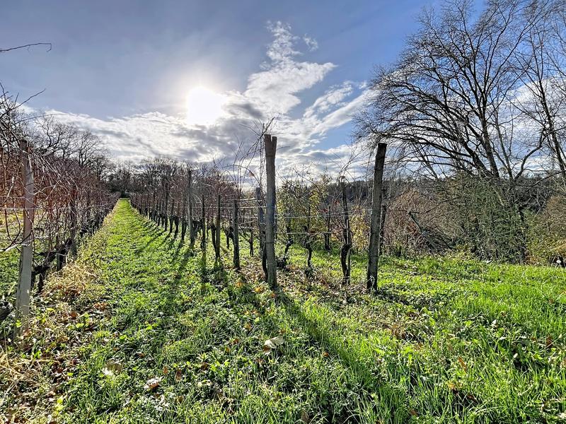 Villa - 100 m² - 4 pièces