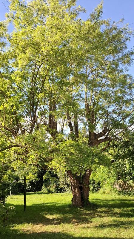 Maison ancienne - 153 m² - 6 pièces