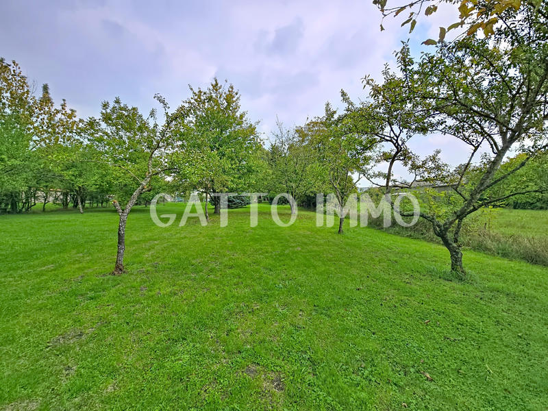 Maison - 130 m² - 4 pièces