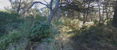 Terrain de loisirs - 9 180 m²