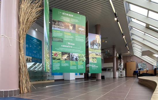 Mercredi Nature : Escape Game