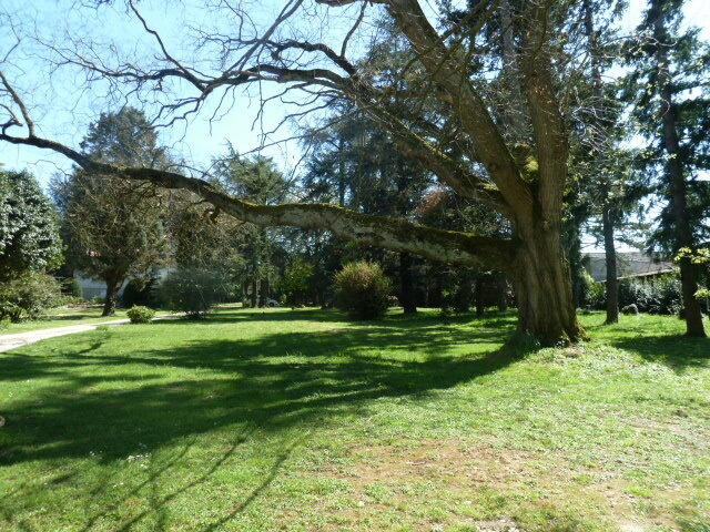 Propriété - 250 m² - 8 pièces