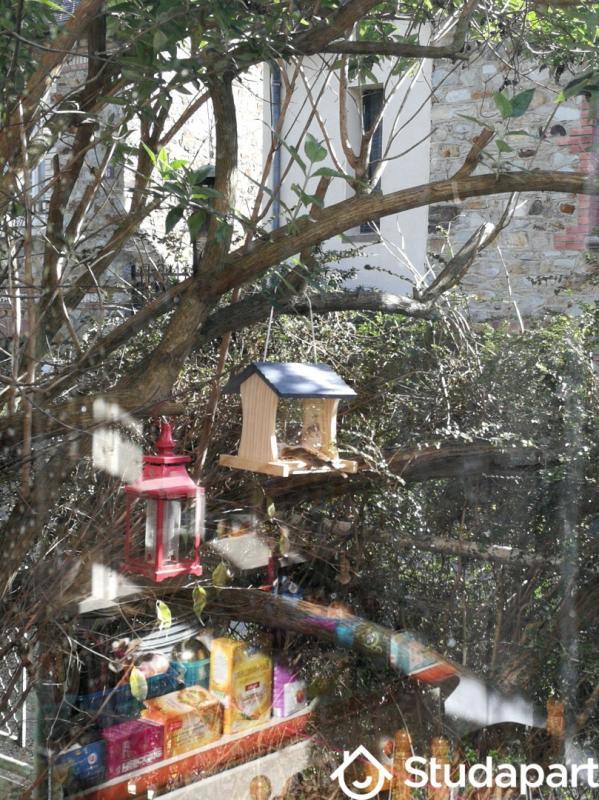 Chambre - 20 m² - 1 pièce