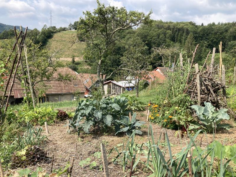 Week-end stage permaculture