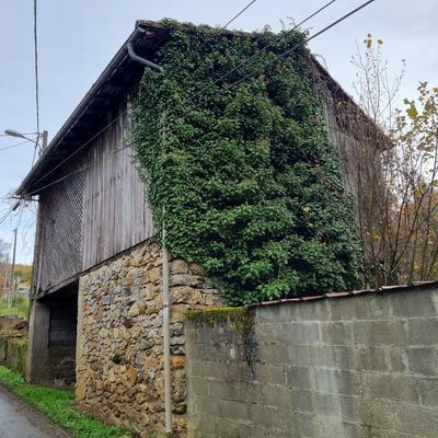 Maison - 56 m² - 2 pièces