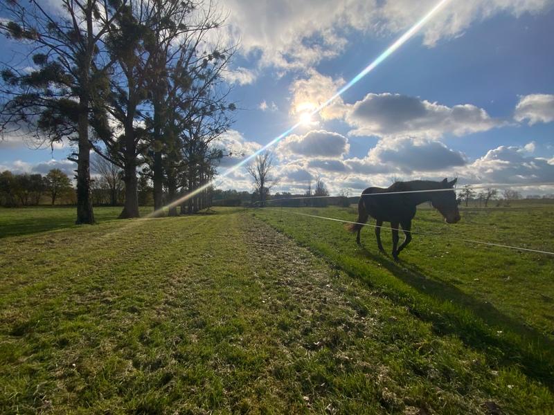 Maison de campagne - 160 m² - 5 pièces