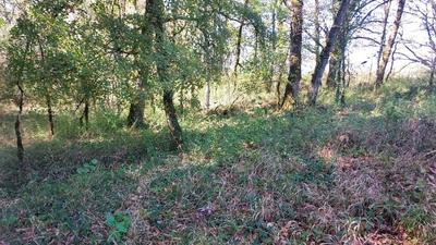 Terrain constructible - 1 255 m²