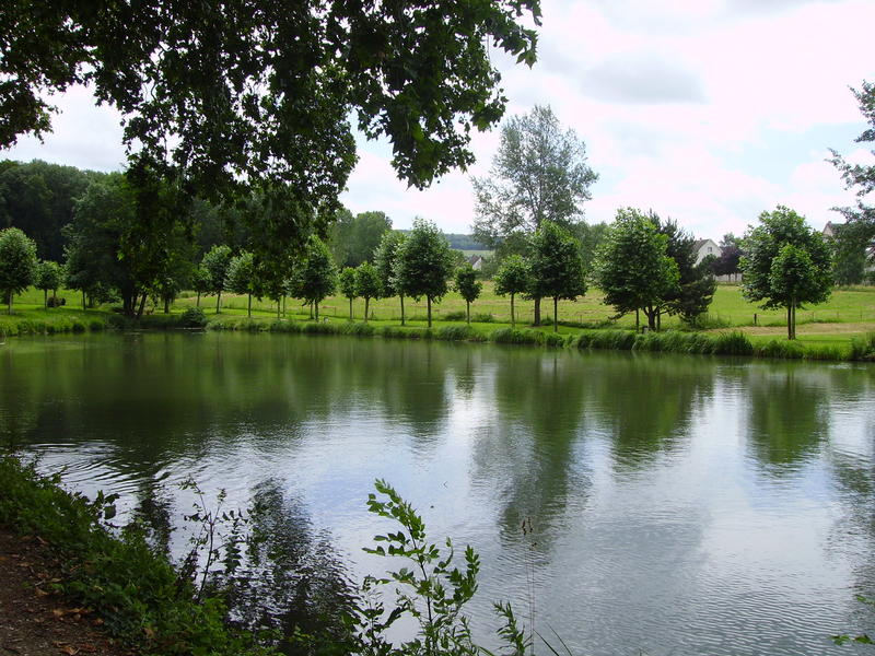 Concours de pêche – Étang du Château de Dormans