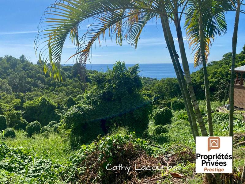 Terrain constructible - 7 709 m²