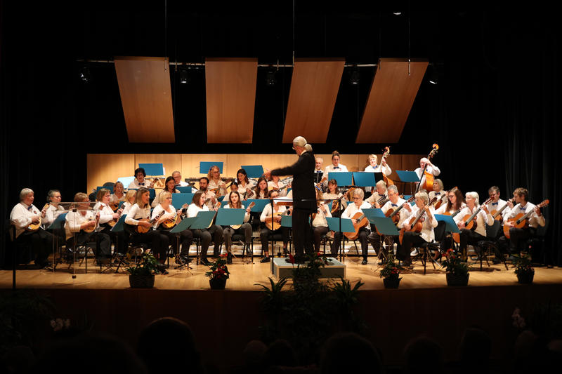 Concerts de l'Orchestre de Mandolines et Guitares de Remiremont