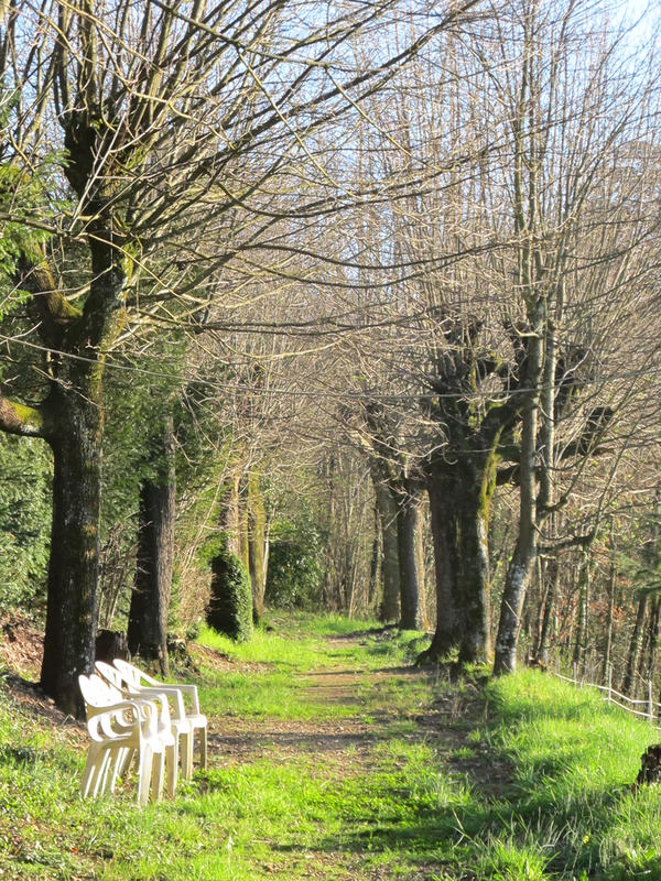 Propriété - 240 m² - 10 pièces