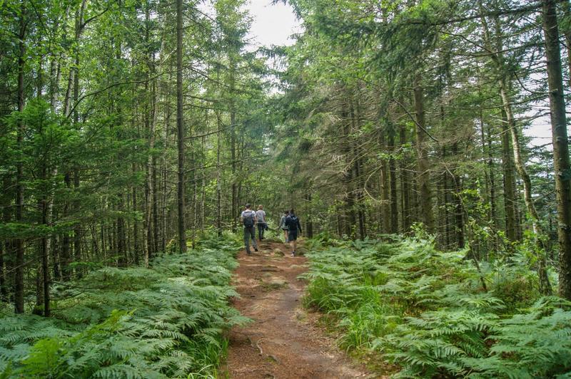 Sentiers Plaisir : les panoramas d'Herbach à la Mullerplatz