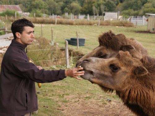 Parc Animalier d Ecouves