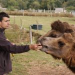 Parc Animalier d Ecouves