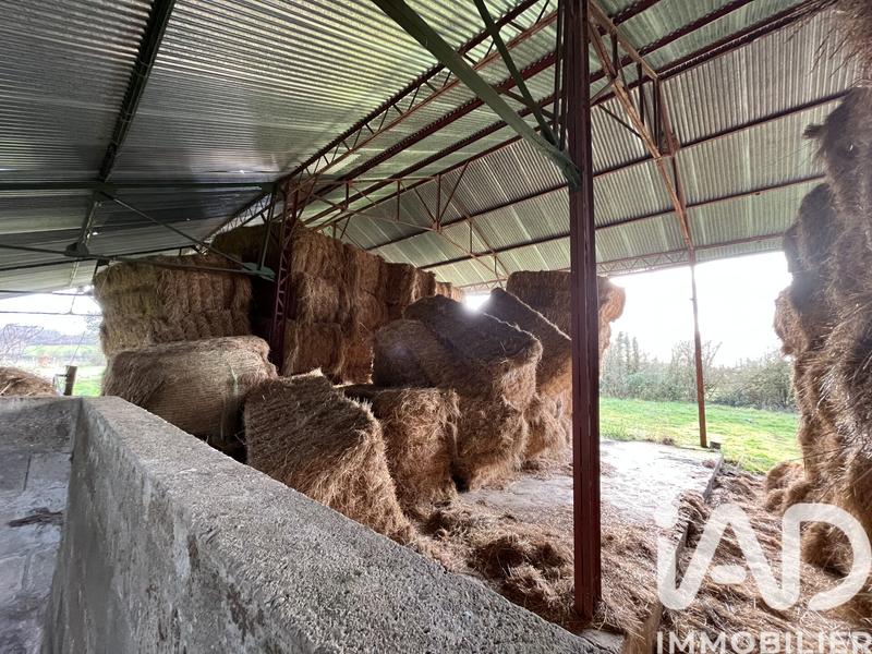 Terrain agricole - 15 845 m²