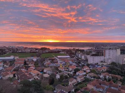 Appartement - 34 m² - 1 pièce