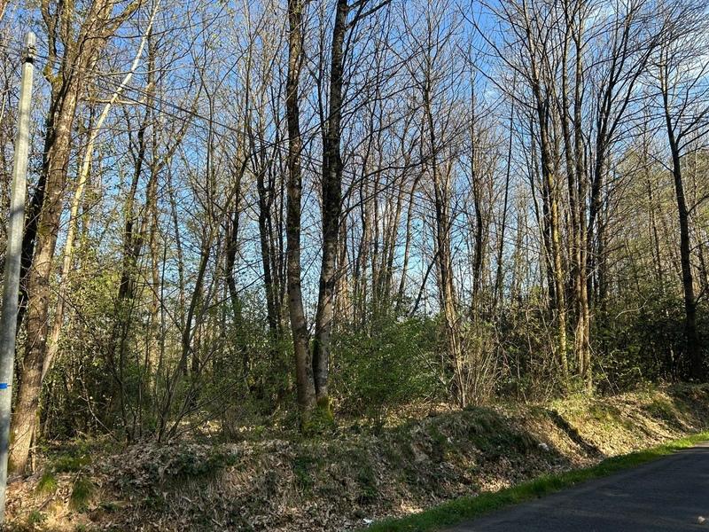 Terrain de loisirs - 16 366 m²