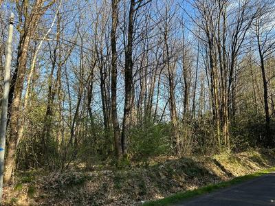 Terrain de loisirs - 16 366 m²