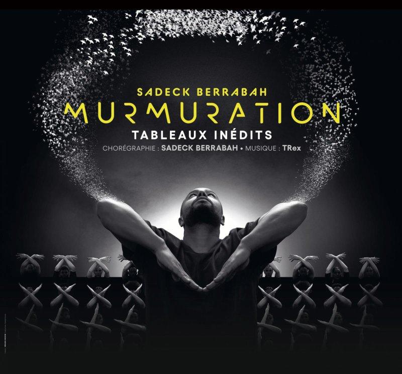 Sadeck Berrabah : Murmuration level 2