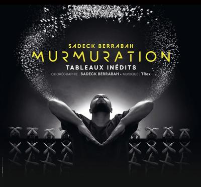 Sadeck Berrabah : Murmuration level 2