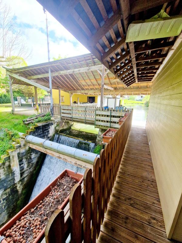 Maison - 150 m² - 5 pièces