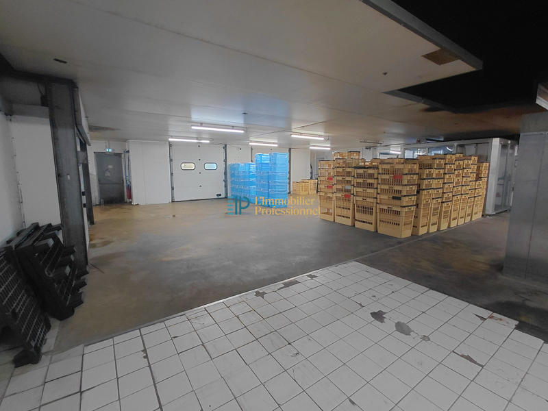 Local d'activités - 1 800 m²