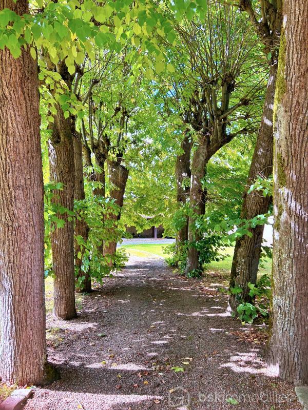 Maison de maîtres - 317 m² - 11 pièces