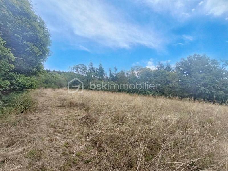 Ferme - 152 m² - 6 pièces