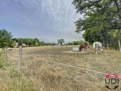 Terrain constructible - 6 597 m²