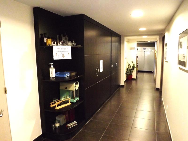 Local commercial - 256 m²