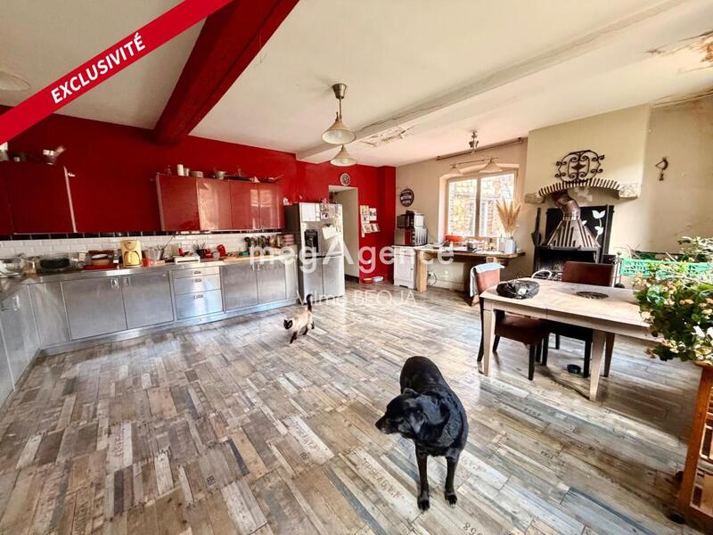 Maison - 280 m² - 8 pièces