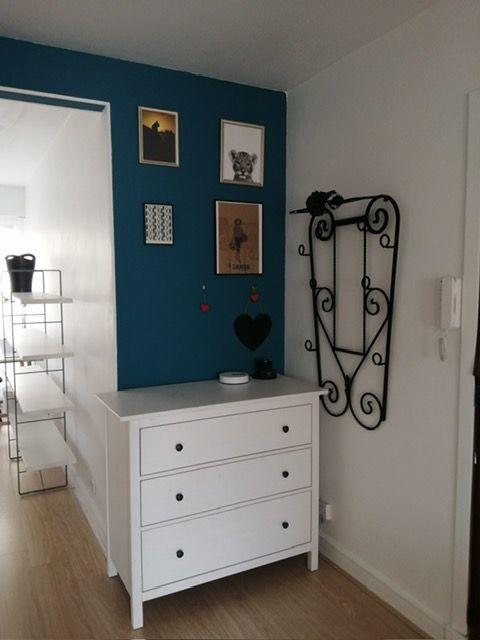 Appartement - 50 m² - 2 pièces