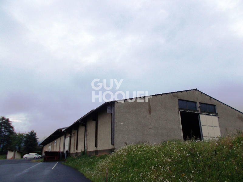 Local d'activité / Entrepôt - 2 300 m²