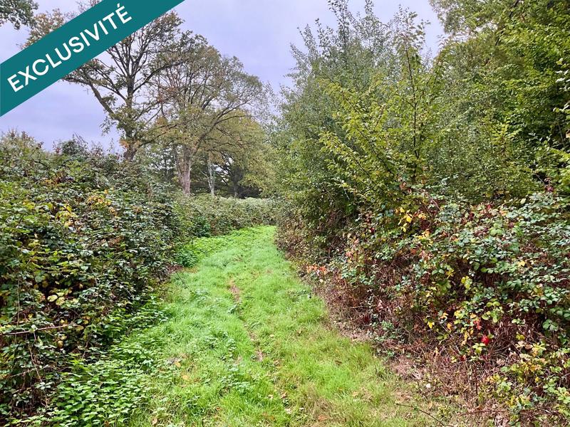 Terrain - 23 520 m²