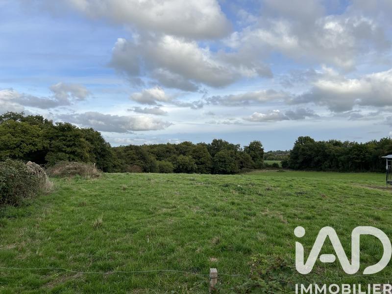 Ferme - 231 m² - 3 pièces