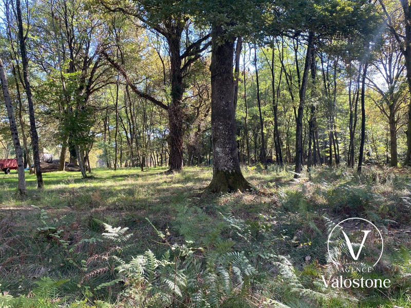 Maison - 246 m² - 6 pièces